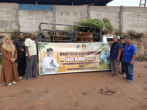 Sapi Kurban dari Ketua DPRD Provinsi Kepri Iman Sutiawan diserahkan kepada masyarakat. Foto : ist