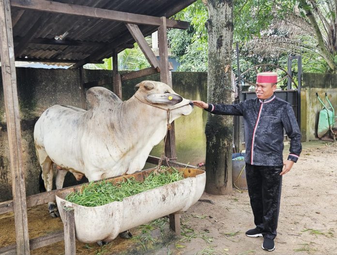 Ketua BPW KKSS Ady Indra Pawennari menyerahkan satu eko sapi untuk hari Raya Idul Adha. Foto : ist