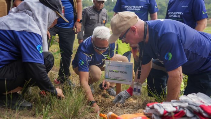 BP Batam bersama PT Mc Dermott Indonesia menanam sebanyak 400 bibit Bambu Betung melalui program Corporate Social Responsibility (CSR). Foto : ist